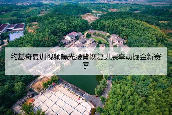 约基奇夏训视频曝光腰背恢复进展牵动掘金新赛季